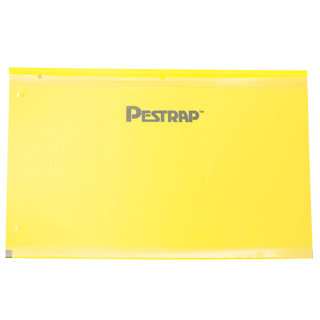 Pestrap Yellow