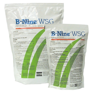 B-Nine WSG Plant Growth Regulator for Ornamentals
