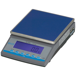 Electronic Precision Scale