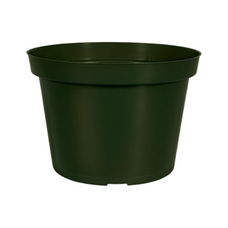 Round Pot HC Companies 6.5" Azalea Thin Wall Green