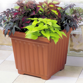 Decorative Pot HC Companies 15" Color Square Planter Clay