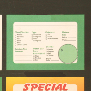 Plastic Cards 'Classification'