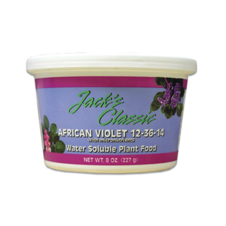 Jack's African Violet Special 12-36-14