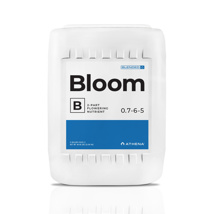 Athena Blended Line Bloom B 5 Gallon