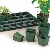 Square Pot HC Companies 2.5" Kord Traditional Green
