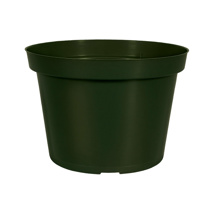 Round Pot HC Companies 6.5" Azalea Thin Wall Green