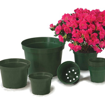 Round Pot HC Companies 5.5" Mum Pot Green
