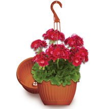 Hanging Basket HC Companies 12" Saucerless Centabella Clay -  Hangers Not Included