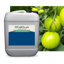 CalOx Micro Flowable Lime
