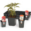 Square Pot HC Companies 4.5" Deep Perennial Pot w/TagSlot Black