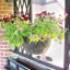 Hanging Basket HC Companies 12" WaxTough WaterSaver Hanging Pot w/Grommets  - Hangers Not Included