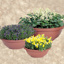 Garden Bowl Planter - Clay
