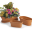 Decorative Pot HC Companies 12" Panterra Oval Planter Clay
